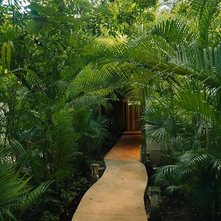 Aldea Coba An Escape Boutique Experience Hotel Exterior foto