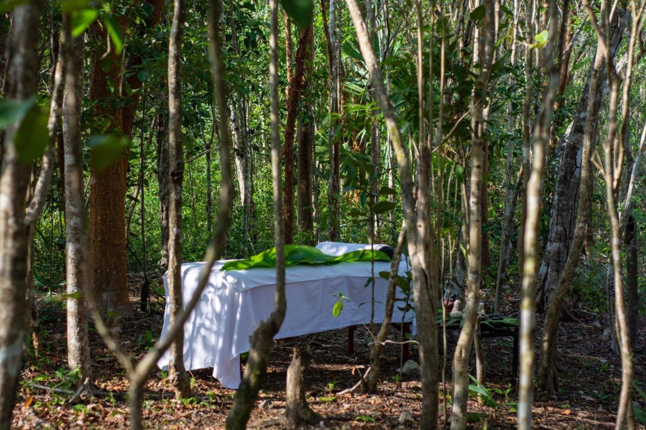 Aldea Coba An Escape Boutique Experience Hotel Exterior foto