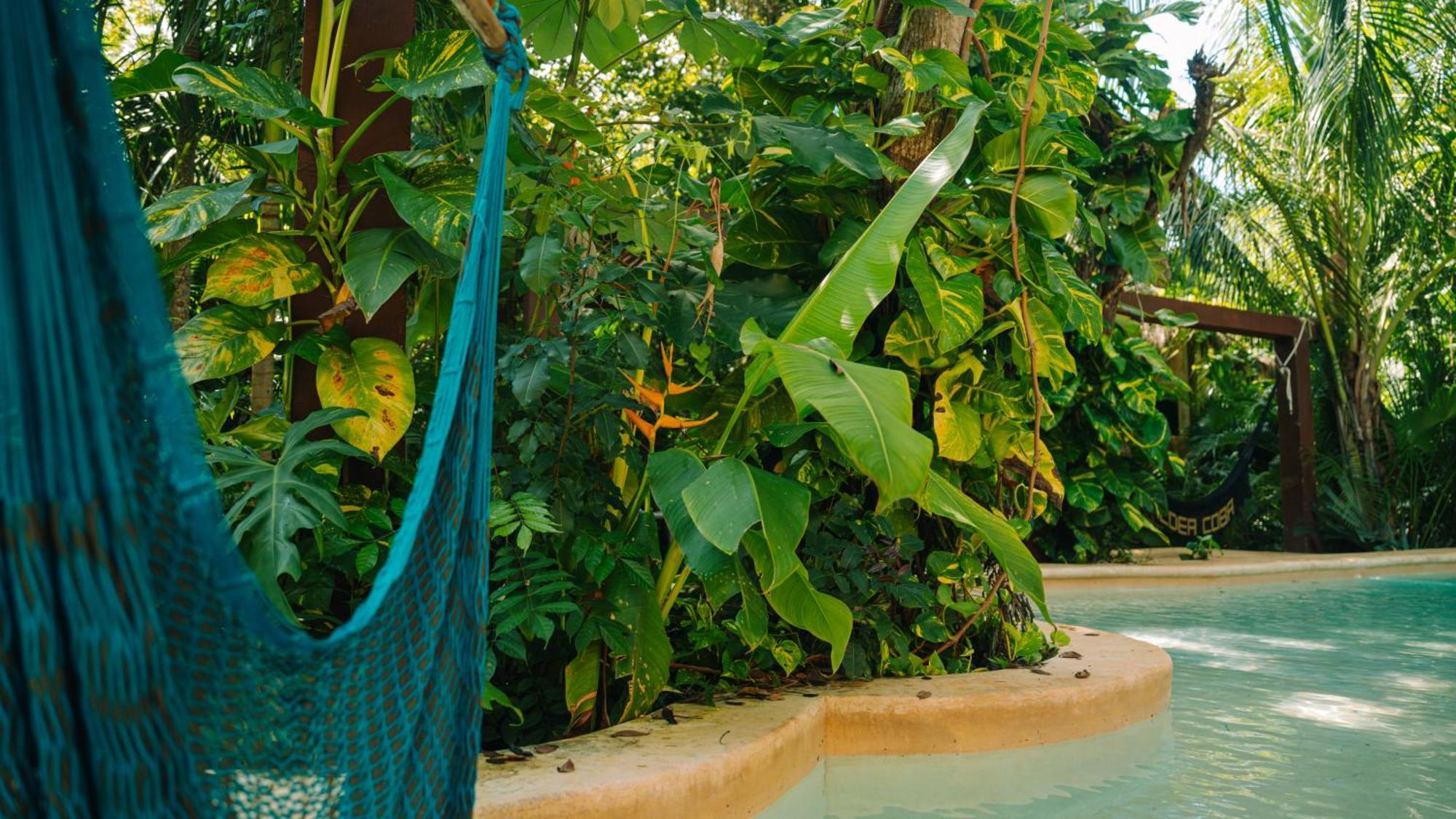 Aldea Coba An Escape Boutique Experience Hotel Exterior foto