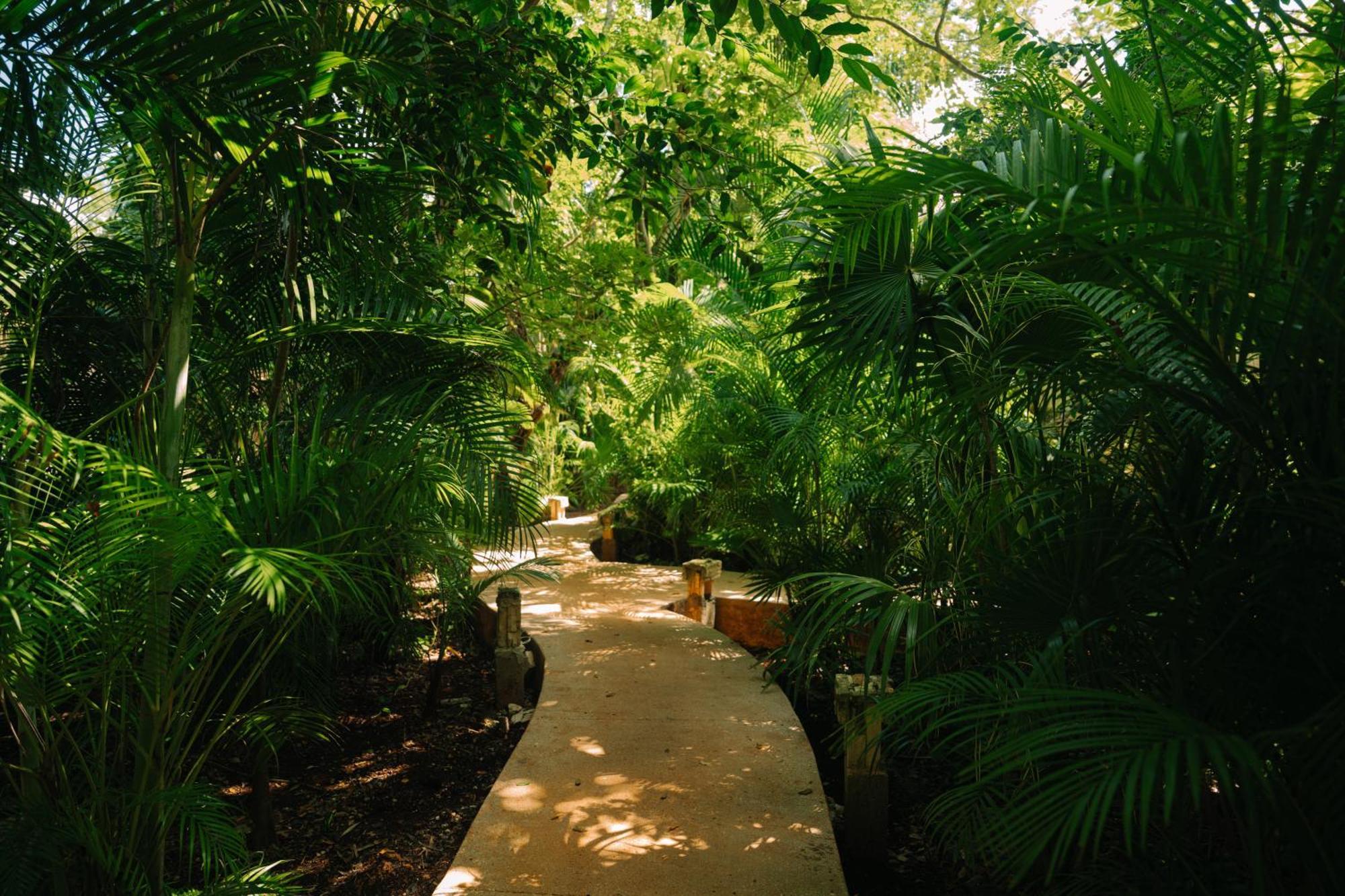Aldea Coba An Escape Boutique Experience Hotel Exterior foto