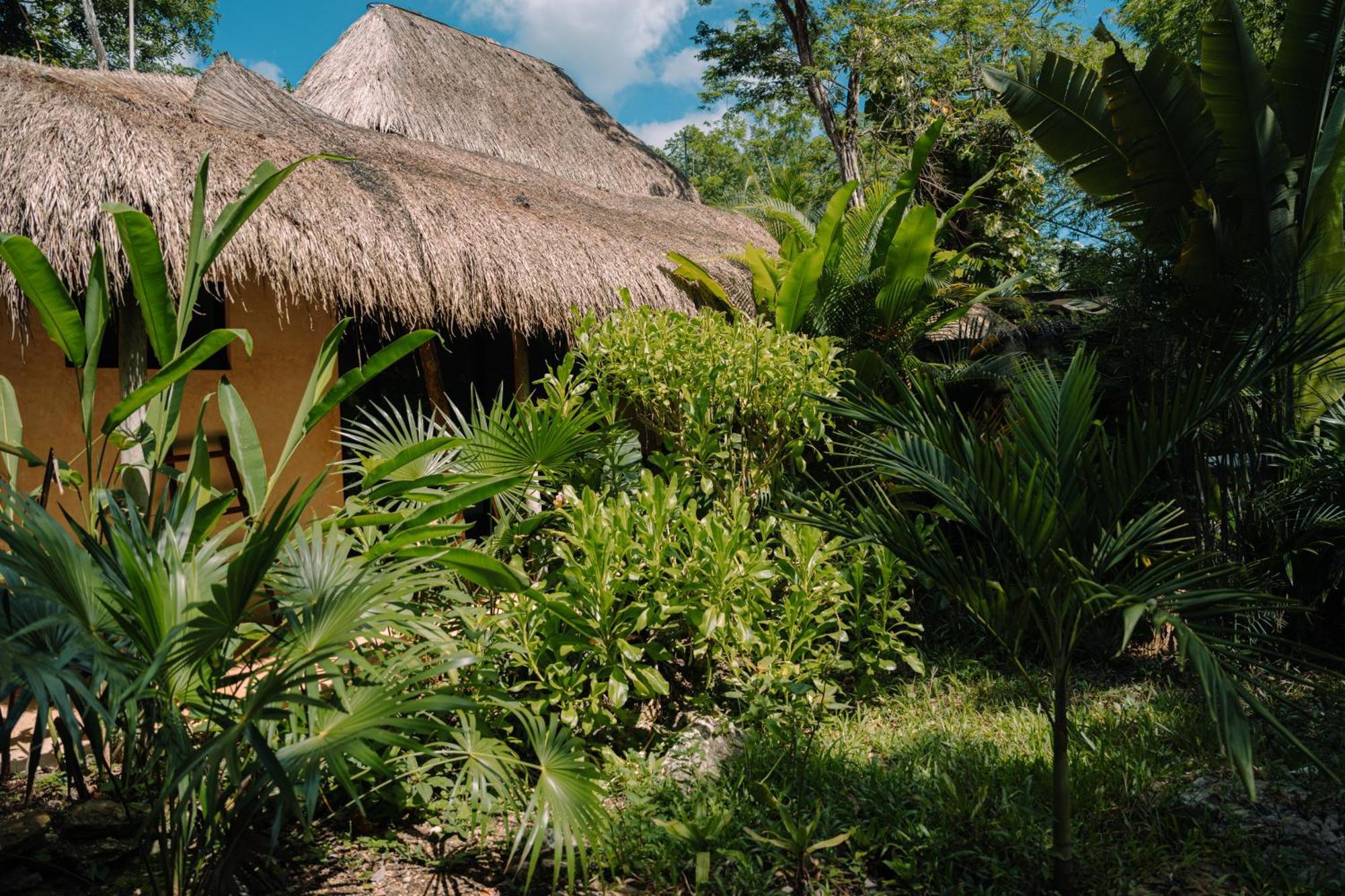 Aldea Coba An Escape Boutique Experience Hotel Quarto foto